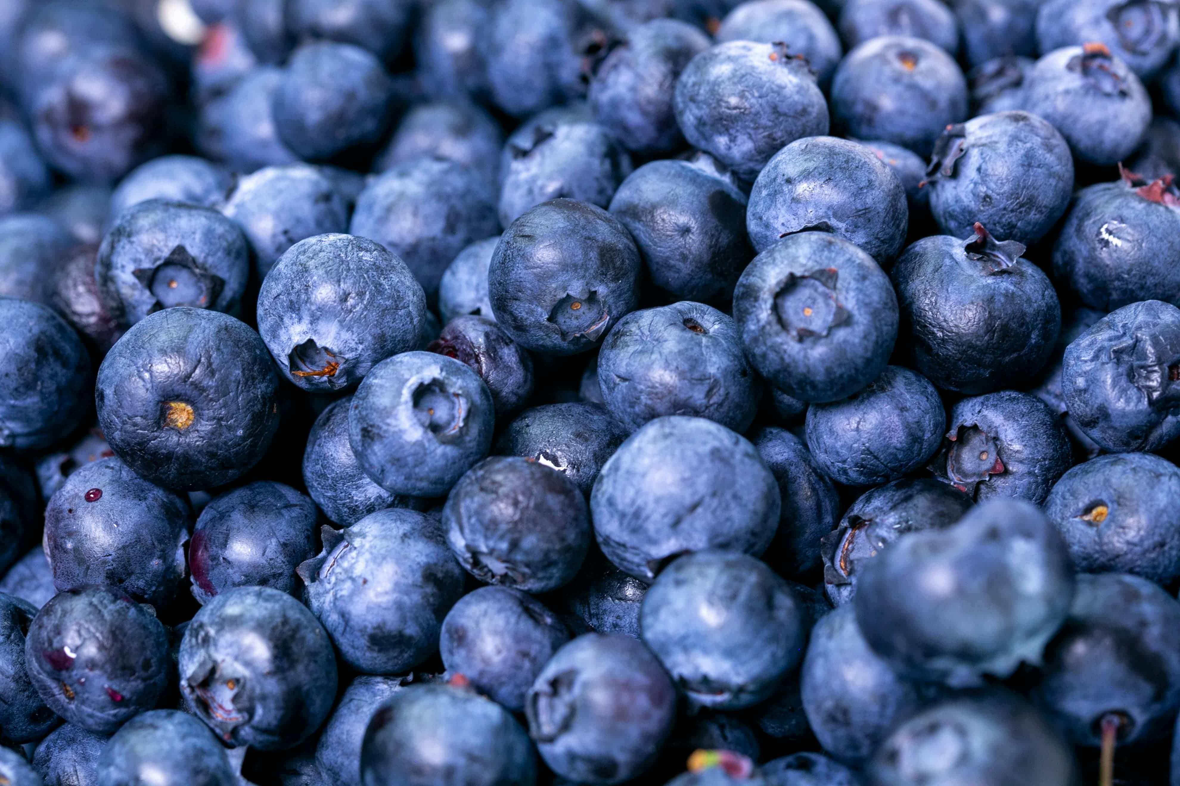 Fresh berries