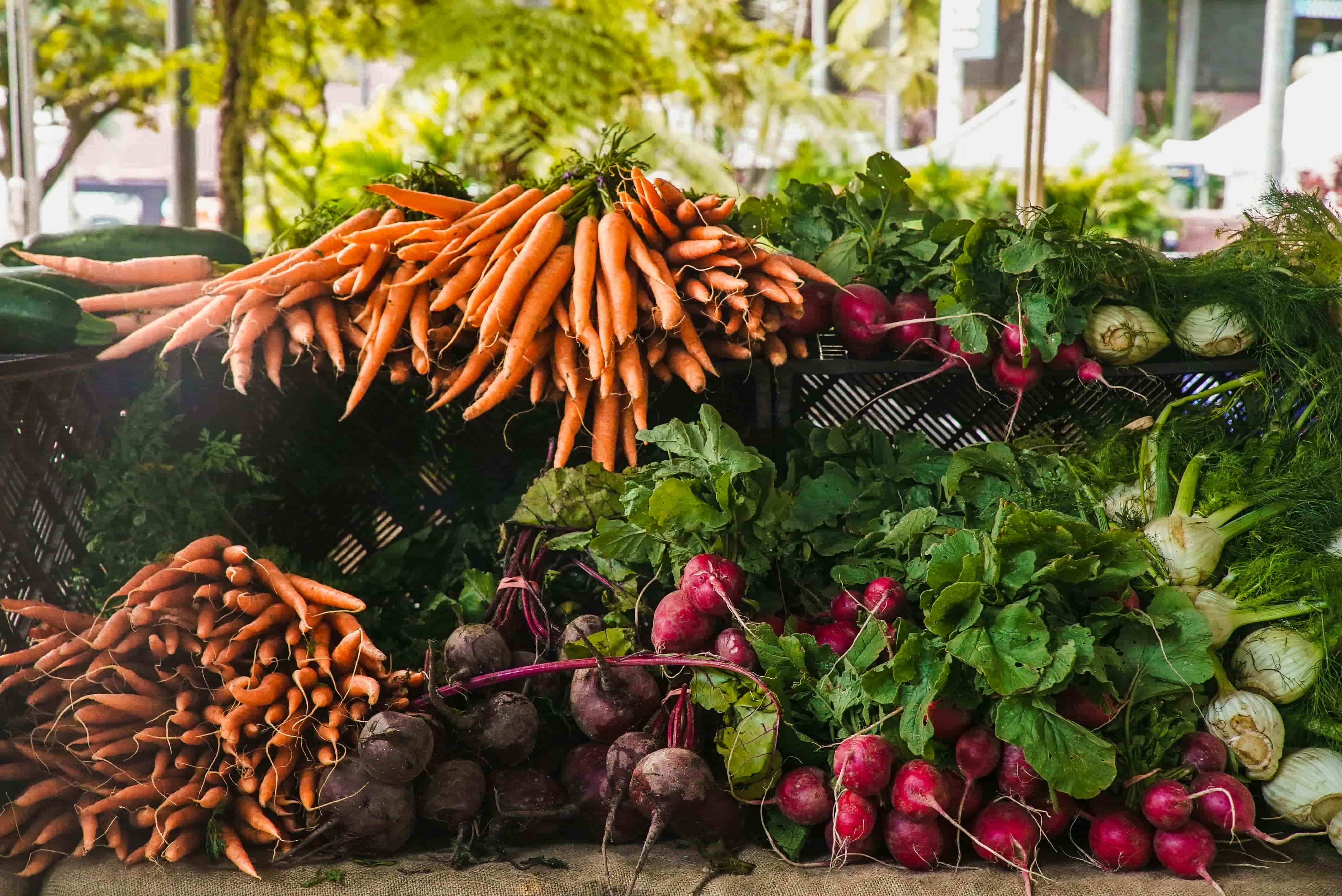 Delicious vegetables